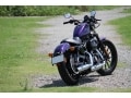 ダーティに楽しめ！ ハーレー XL883N アイアン