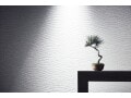 草盆栽の作り方……野草で楽しむ！