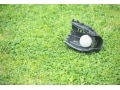 君は「ベイブルース」の伝説を知っているか？