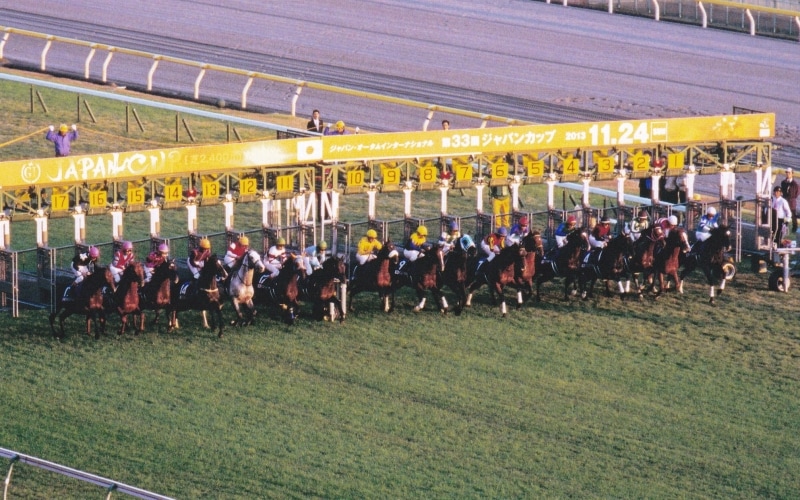 11月の注目レース～若き3歳馬とベテラン古馬の対決～ [競馬] All