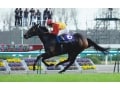 11月の注目レース～若き3歳馬とベテラン古馬の対決～