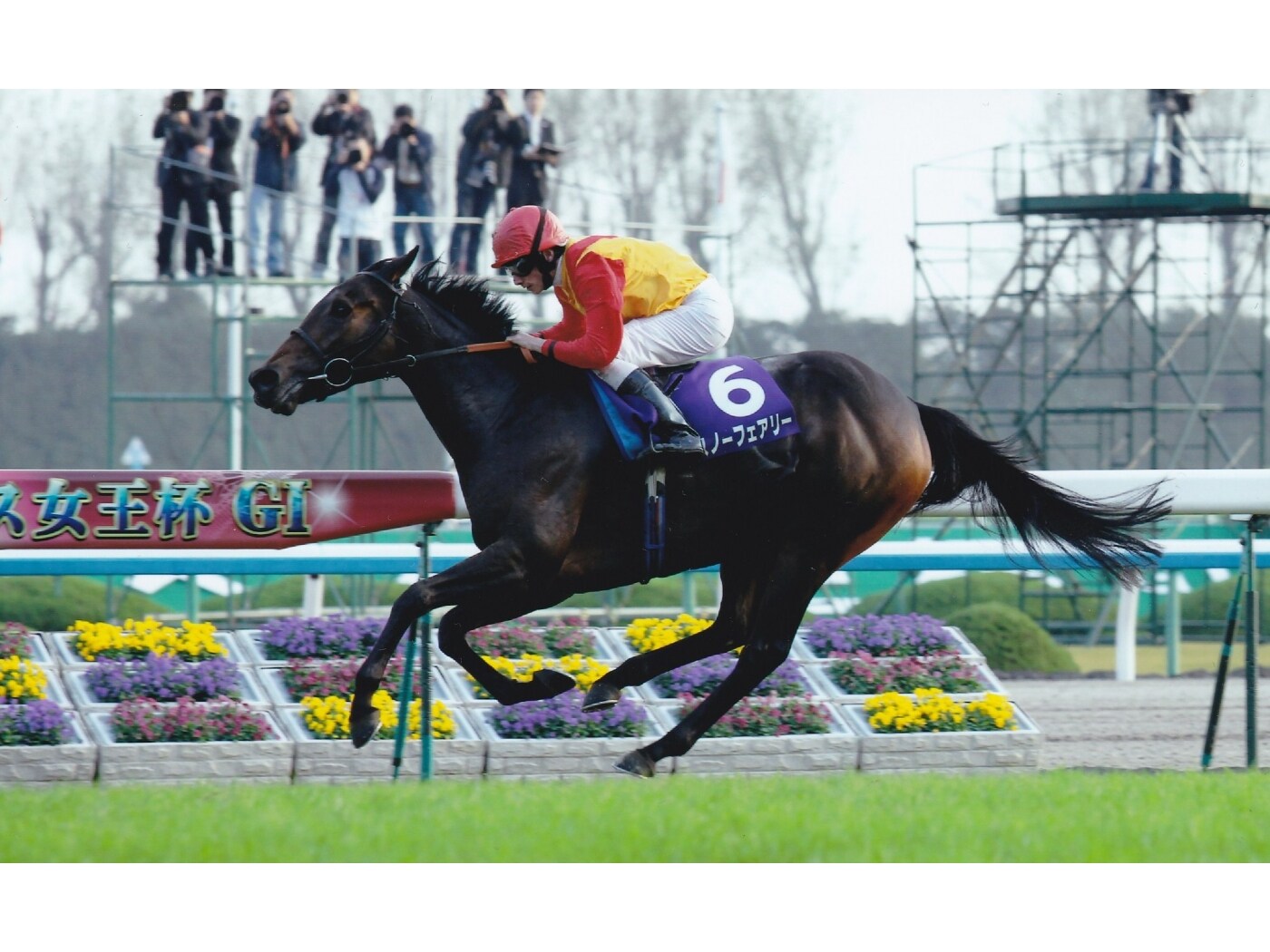 11月の注目レース～若き3歳馬とベテラン古馬の対決～ [競馬] All