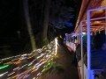 輝くライトアップ！バンクーバーのクリスマストレイン