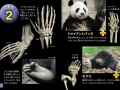遊ぶ図鑑！ 『もっとくらべる図鑑クイズブック』