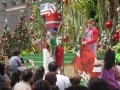 真夏のジングルベル！ブラジルのクリスマス事情