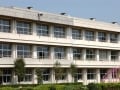 いじめられた子が学校に行きたくないと言った場合