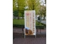 保健師ならおさえておきたい「日本公衆衛生学会」