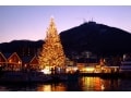 札幌＆函館のクリスマスイルミネーション2016