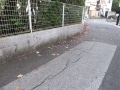 歩いて、見て知る地盤の危険　低地編