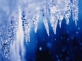 アナ雪の見どころが2倍になる!?  『雪と氷の大研究』