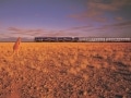 鉄道で行くオーストラリア！グレート・サザン・レイル