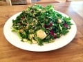 大ブレーク間近？注目の野菜「ケール」
