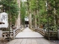 日本仏教の聖地、高野山に行こう