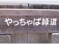 「やっちゃば緑道」とその界隈を歩く