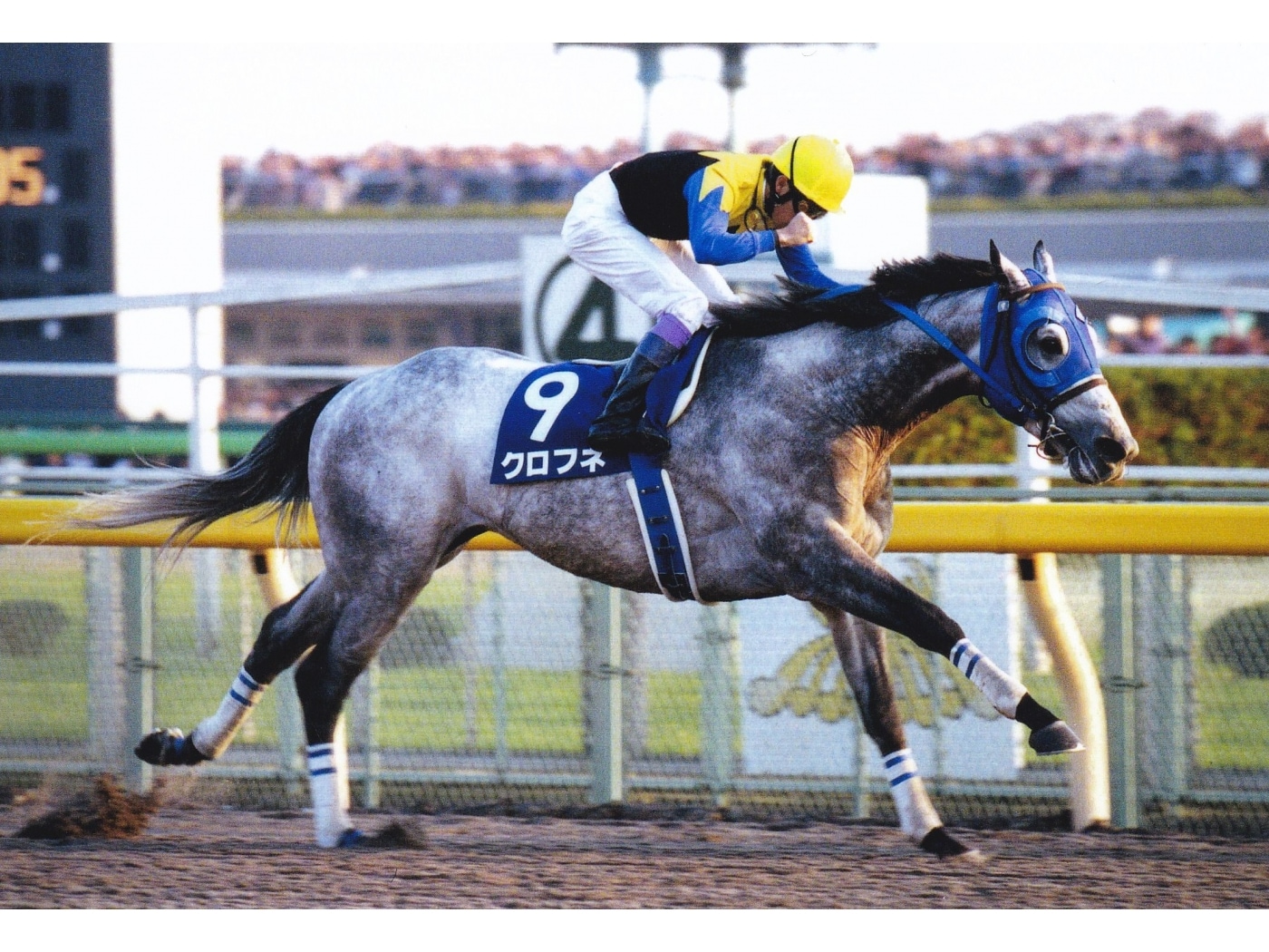 【即購入OK!】ホースライダーズ2 カネヒキリ 馬 競馬 1c1e4a7b21f46dd88e5169491169ec