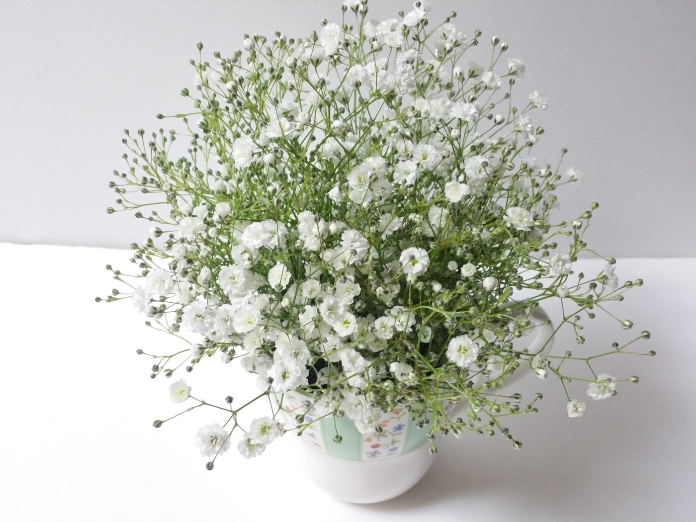 9月の花】パイナップルリリー [フラワーアレンジメント] All About