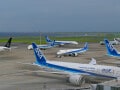 【ANA】上級ランク会員（ステータス）を取得する方法とは？