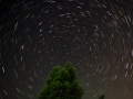 春の星座を楽しもう！特徴と見つけ方