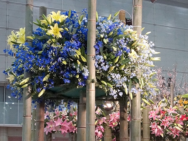 進化し続ける 2015日本フラワー&ガーデンショウ [ガーデニング・園芸