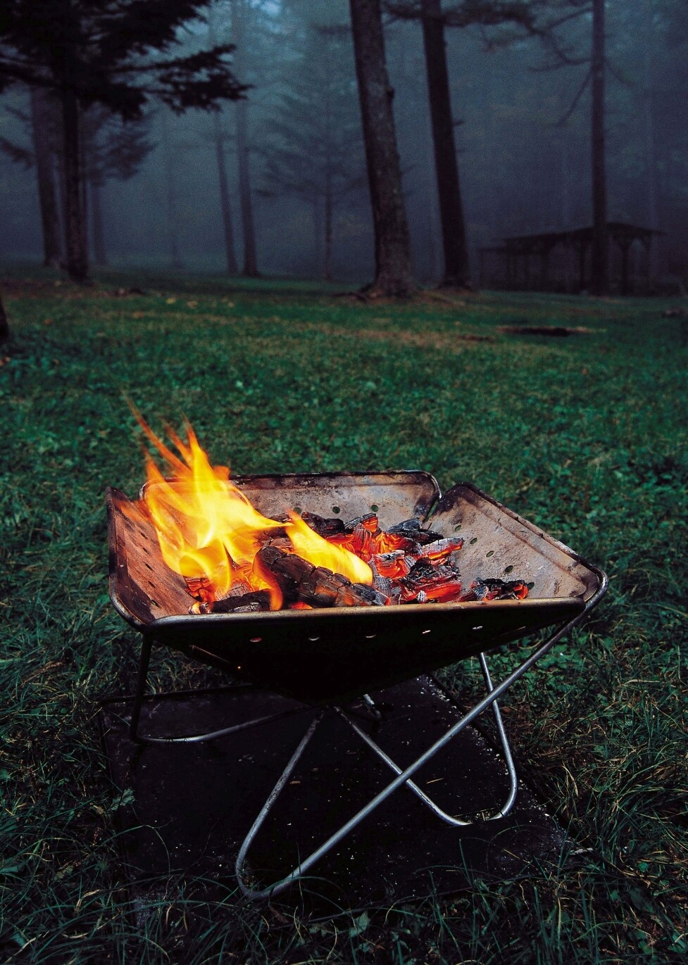 美品 スノーピーク 焚き火台L