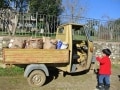 子連れで農業体験！伊・トスカーナのアグリツーリズモ