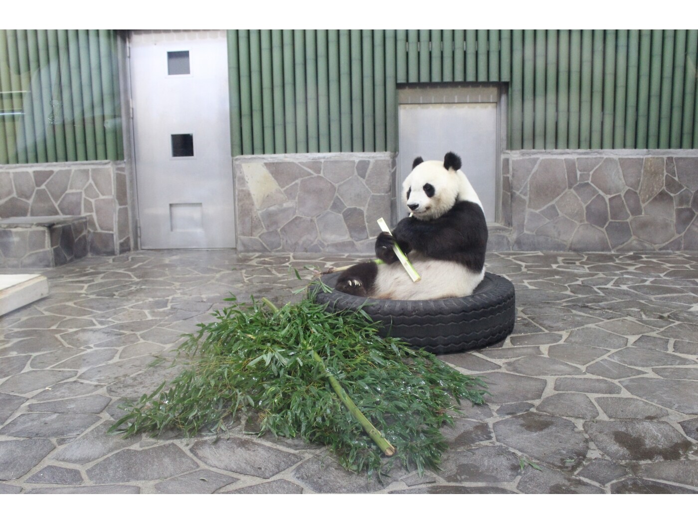神戸動物園 パンダ ぬいぐるみ 笛入り 神戸動物園 パンダ