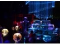 日本橋 アートアクアリウム2015～江戸・金魚の涼～