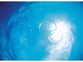 「体験ダイビング」で初めての水中世界へ！
