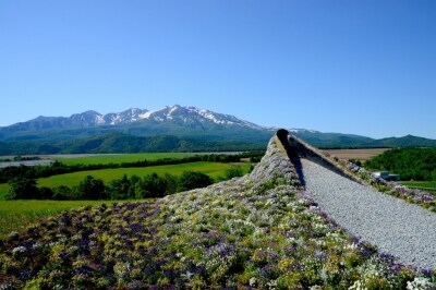 3/3 大雪山麓に花のアート空間が！北海道ガーデンショー [北海道の観光