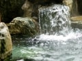 それでも、あなたは田舎暮らしを目指すのか！