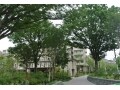 奇跡の再生プロジェクト　桜上水ガーデンズを見学