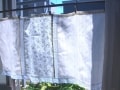簡単！ レースでつなぐカフェカーテンの作り方・縫い方