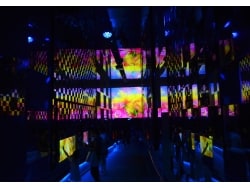 【お値下げ】イルミネーション万華鏡水槽 東京・すみだ水族館の煌めくクラゲ万華鏡トンネルが常設に - 大水槽の