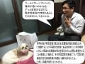 平成27年度宅建試験 法改正と予想問題