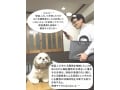 平成27年度宅建試験 新判例に学ぶポイントと出題予想