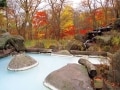 美肌も叶う？紅葉の絶景が映える白濁り露天風呂3選