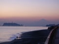 冬の鎌倉観光、厳選4プラン！美術館、絶景、花、イベント