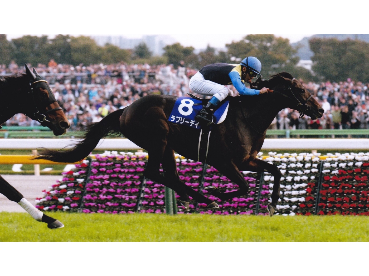 競馬の世界一を決める「凱旋門賞」ってどんなレース？ [競馬