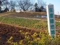 住宅の隣が生産緑地でも安心できない