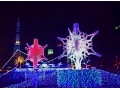 雪と光が幻想的！札幌のイルミネーション2015～2016
