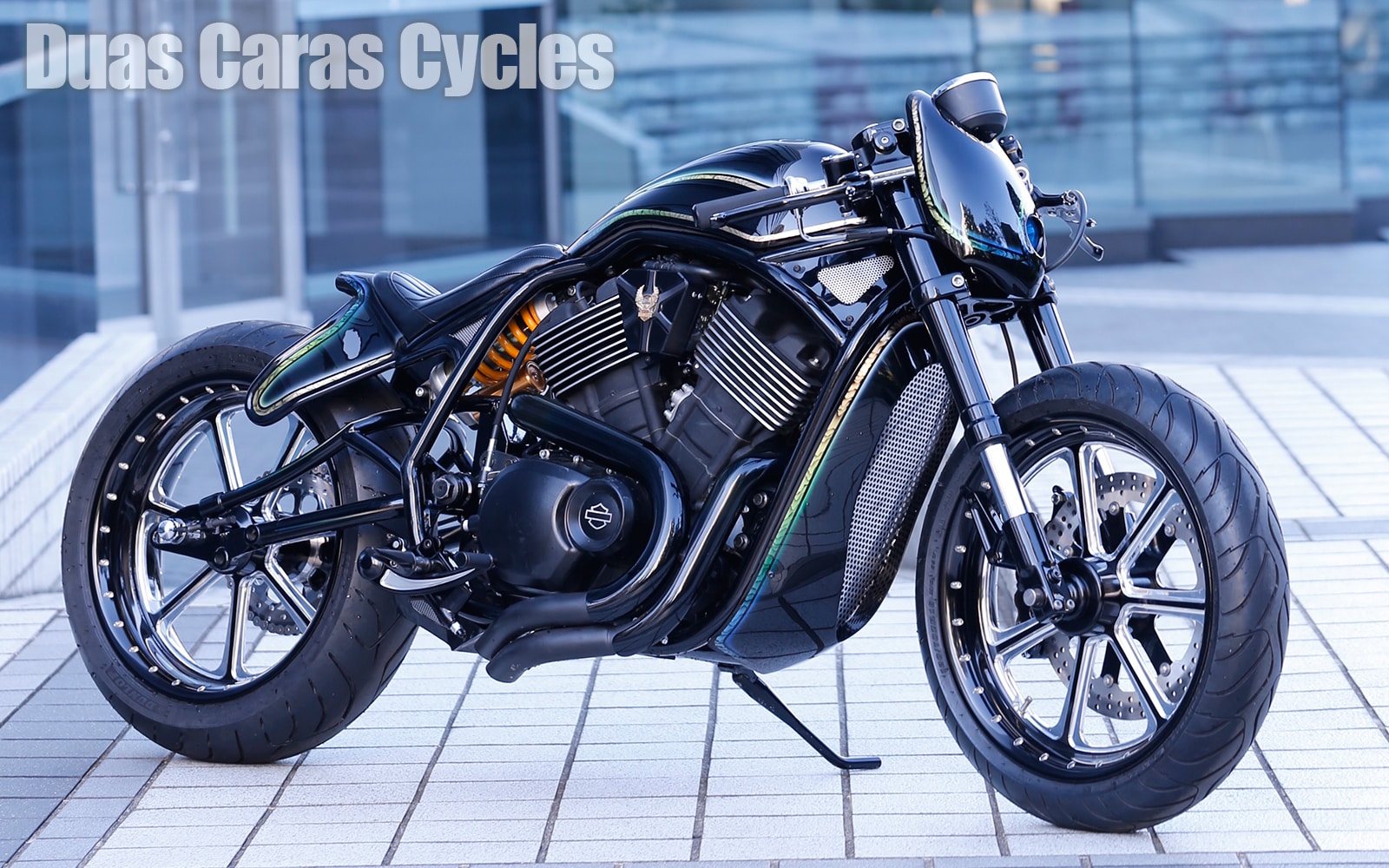 カスタムストリート750のチャンピオン決定！ [ハーレーダビッドソン