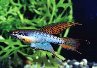 all about オールアバウト