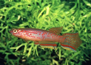 all about オールアバウト