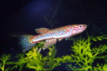 all about オールアバウト