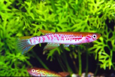 all about オールアバウト