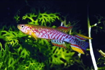 all about オールアバウト