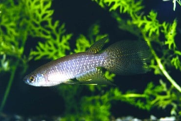 all about オールアバウト