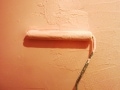 実演！自分で、トイレの壁ペイントと温水洗浄便座交換