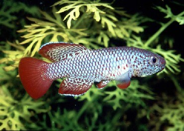 all about オールアバウト