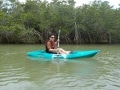 石垣島のマングローブカヤック体験